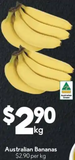 Drakes Australian Bananas offer