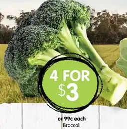 Spudshed Broccoli offer