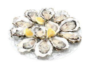 Drakes Tasmanian pacific oysters dozen offer