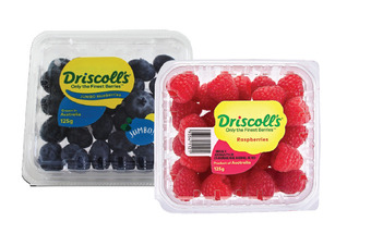 Australian driscoll’s raspberries or blueberries 125g