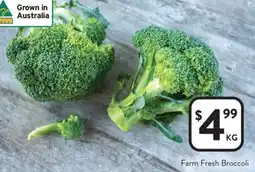 Foodworks Farm Fresh Broccoli offer