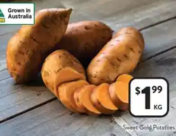 Foodworks Sweet Gold Potatoes offer