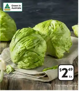 Foodworks Crisp iceberg lettuce offer