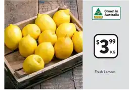 Foodworks Fresh lemons offer