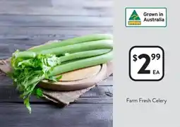 Foodworks Farm fresh celery offer