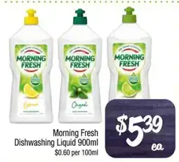 Foodworks Morning Fresh Dishwashing Liquid offer