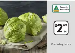 Foodworks Crisp Iceberg Lettuce offer