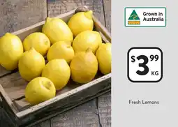 Foodworks Fresh Lemons offer