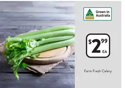 Foodworks Farm Fresh Celery offer
