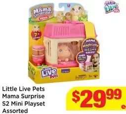 Mr Toys Little Live Pets Mama Surprise S2 Mini Playset Assorted offer