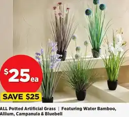 Spotlight All Potted Artificial Grass offer