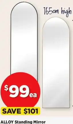 Spotlight Alloy standing mirror offer