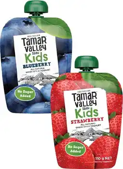 Coles Tamar Valley Dairy Kids Greek Style Yoghurt Pouch 110g offer