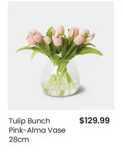 Myer Tulip Bunch Pink-Alma Vase 28cm offer