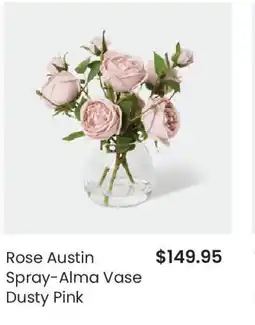 Myer Rose Austin Spray-Alma Vase Dusty Pink offer