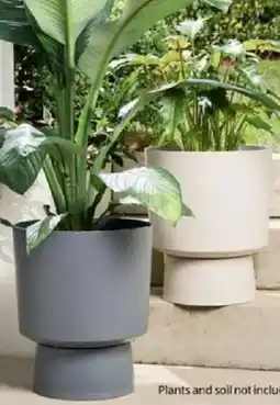 ALDI Modern plant pot offer