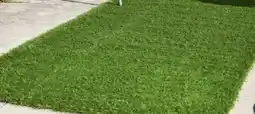 ALDI Synthetic grass rug offer