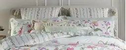 Myer Norwood Knitted Cushions offer