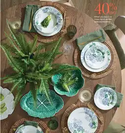 Myer Hydrangea 12pc Dinner Set offer