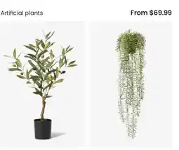 Myer Artificial plants offer