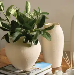 Myer Peninsula Textured Ceramic Vases offer
