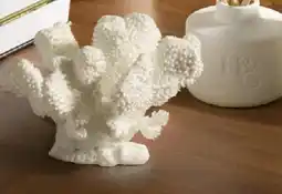 Myer Atolle Coral Object offer