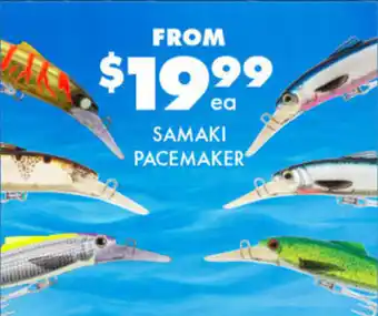 BCF Samaki pacemaker offer