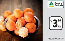 Foodworks Afourer Mandarins offer