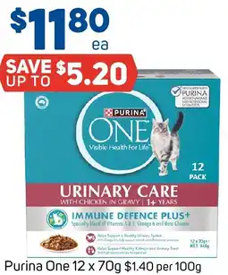 Foodland Purina One offer