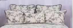 Spotlight Cushion offer