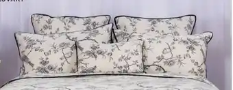 Spotlight Cushion offer