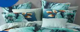 Spotlight European Pillowcase offer
