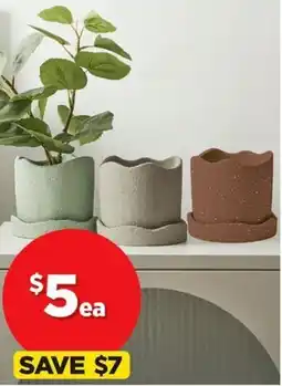 Spotlight Selected Ceramic Indoor Planter Pots Featuring Textured Sand Blasted Pots offer