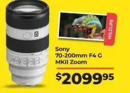 Teds Cameras Sony offer