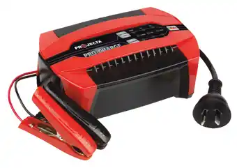 Repco Projecta 12v pro-charge battery chargers offer