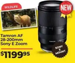 Teds Cameras Tamron AF offer