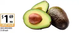Supabarn hass avocados offer