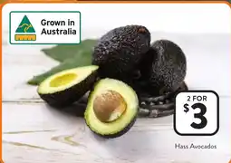 Foodworks Hass Avocados offer