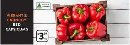 Foodworks CAPSICUMS offer