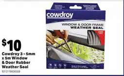 Mitre 10 Cowdro offer