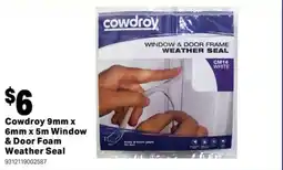 Mitre 10 Cowdroy window & door frame weather seal offer