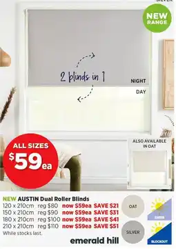 Spotlight AUSTIN Dual Roller Blinds offer