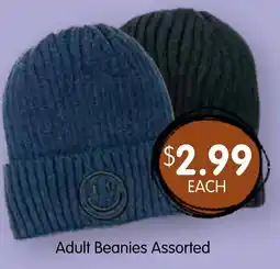 Spudshed Adult Beanies Assorted offer