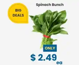 Fresh Plus Supermarkets Spinach Bunch offer