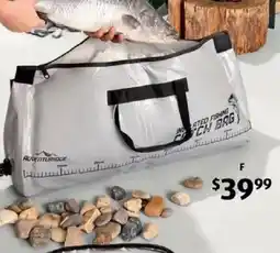 ALDI Insulated Fishing Catch Bag offer