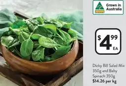 Foodworks Dicky Bill Salad Mix and Baby Spinach offer