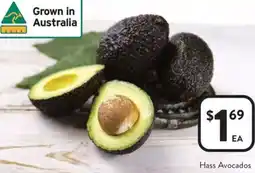Foodworks Hass Avocados offer
