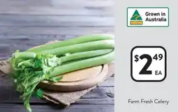 Foodworks Farm Fresh Celery offer