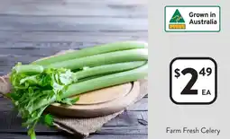 Foodworks Farm Fresh Celery offer