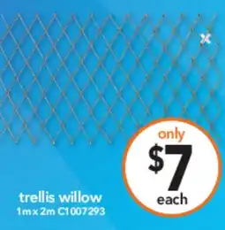 Cheap as Chips trellis willow offer